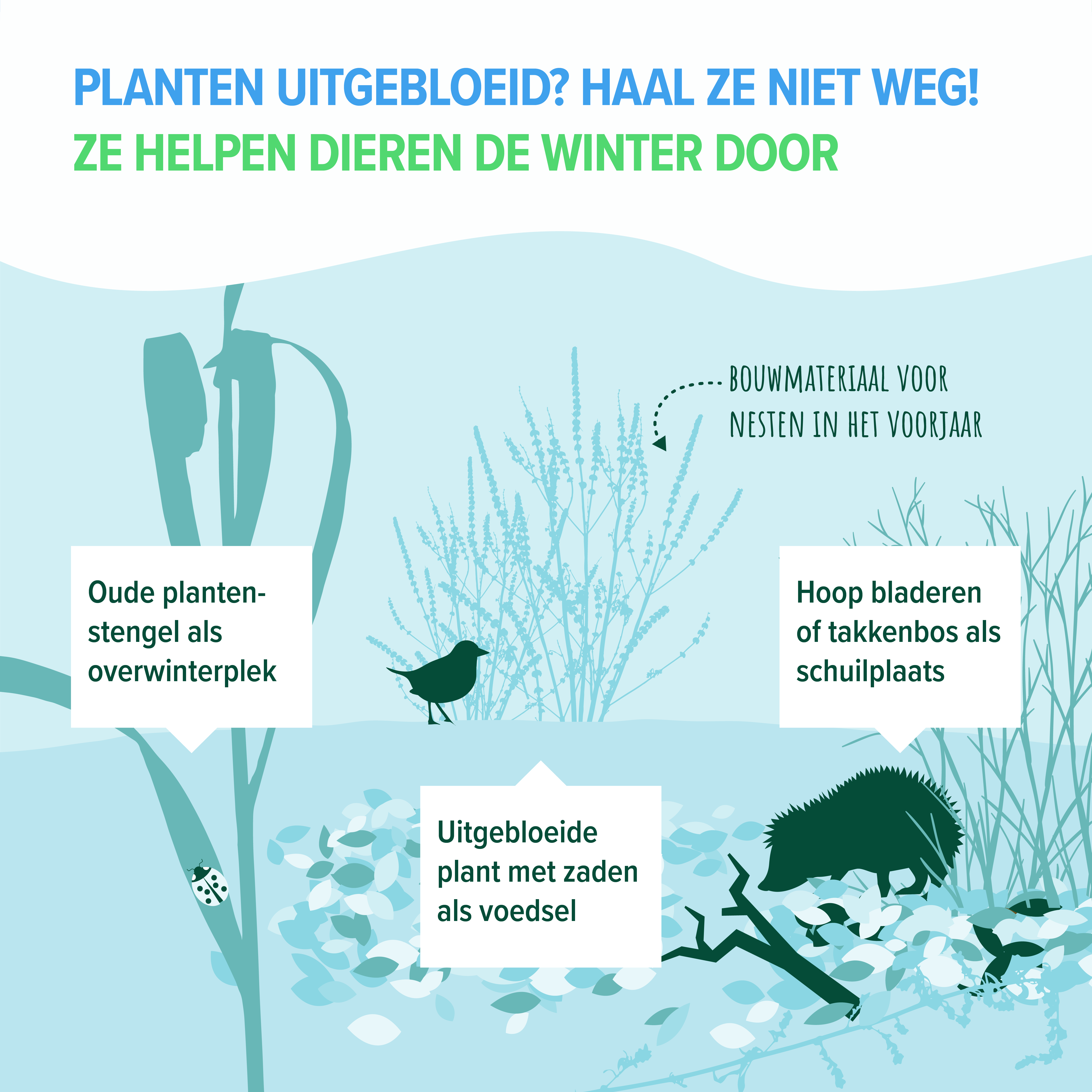 Tuin winterklaar maken