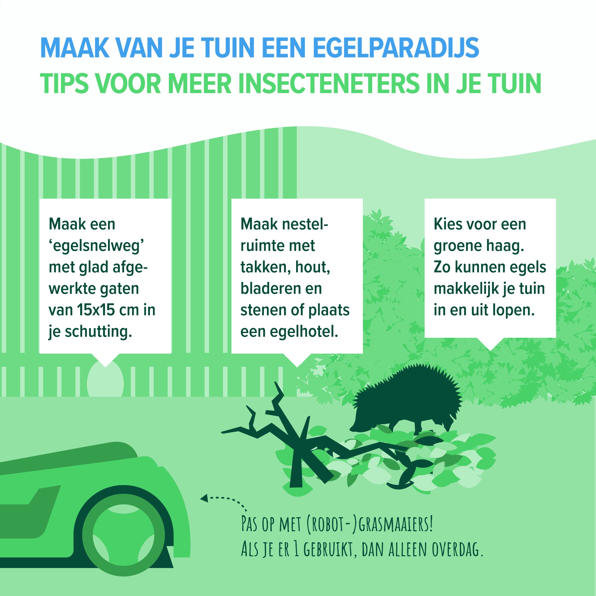 Je tuin een egelparadijs